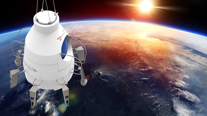 Sage Cheshire Capsule